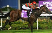 Super Easy<br>Photo by Singapore Turf Club